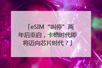 eSIM“叫停”两年后重启，卡槽时代即将迈向芯片时代？